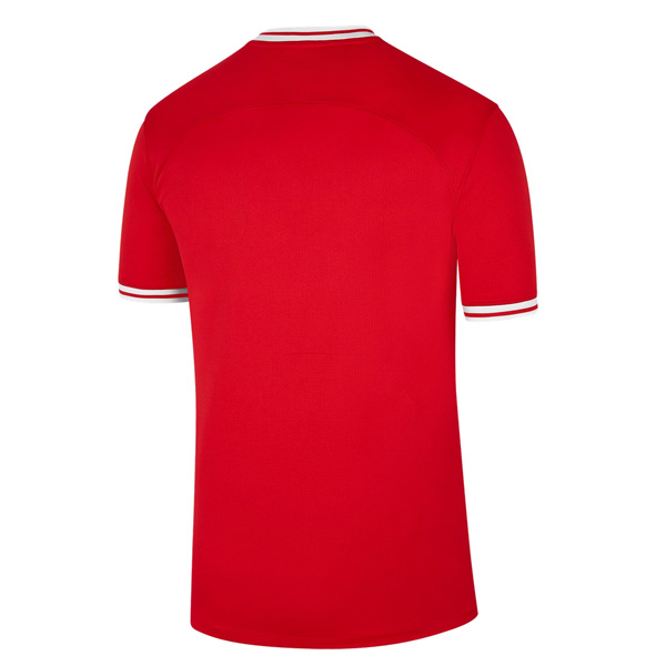 2022 Poland Away World Cup Jersey back