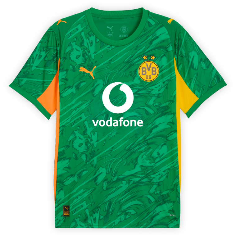 Borussia Dortmund Goalkeeper Green Jersey 25-26