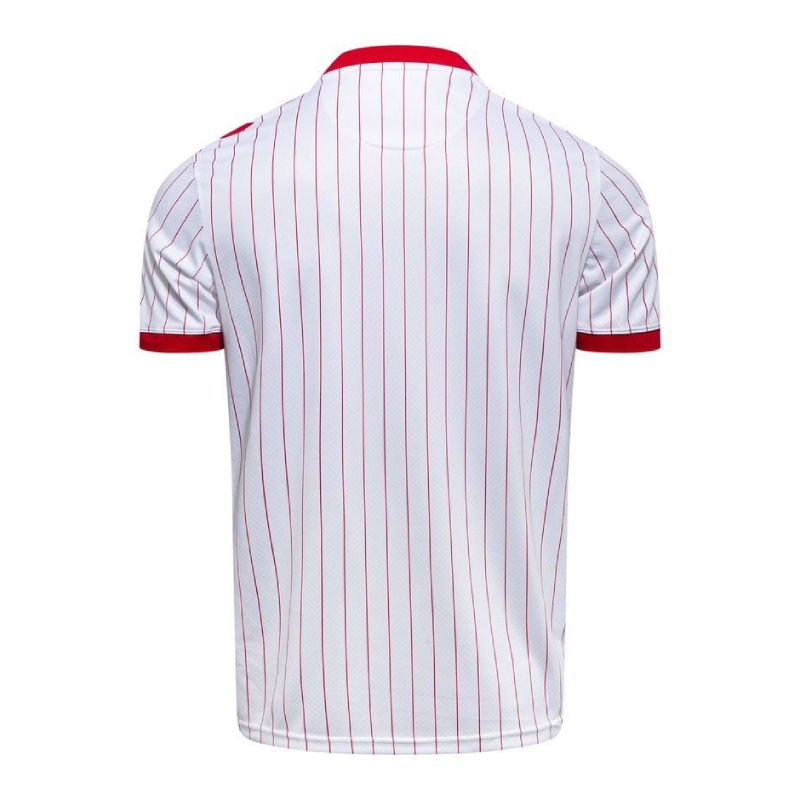 Denmark Away Jersey 2026