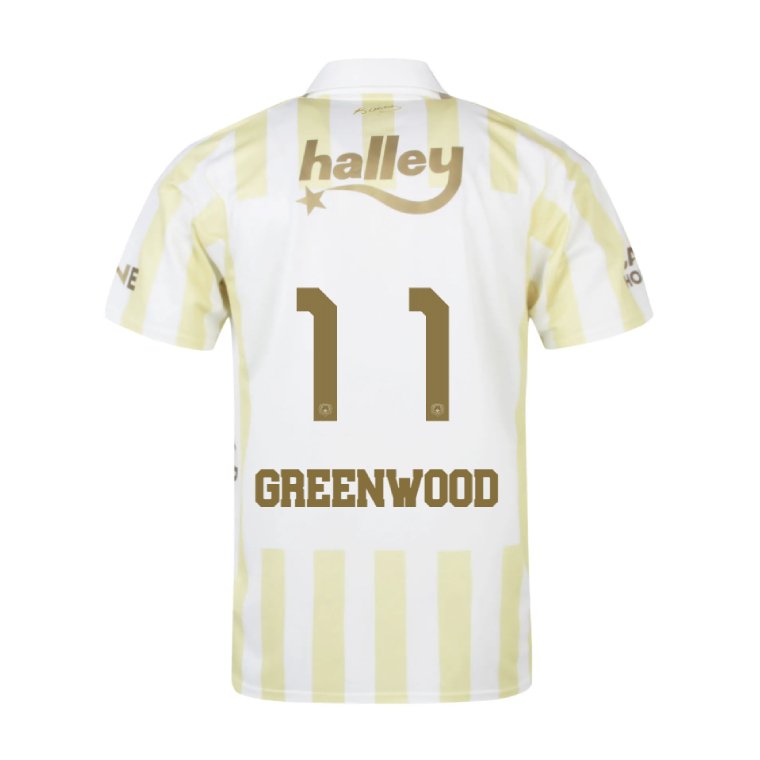 Fenerbahçe Away GREENWOOD 11 Jersey 26-27