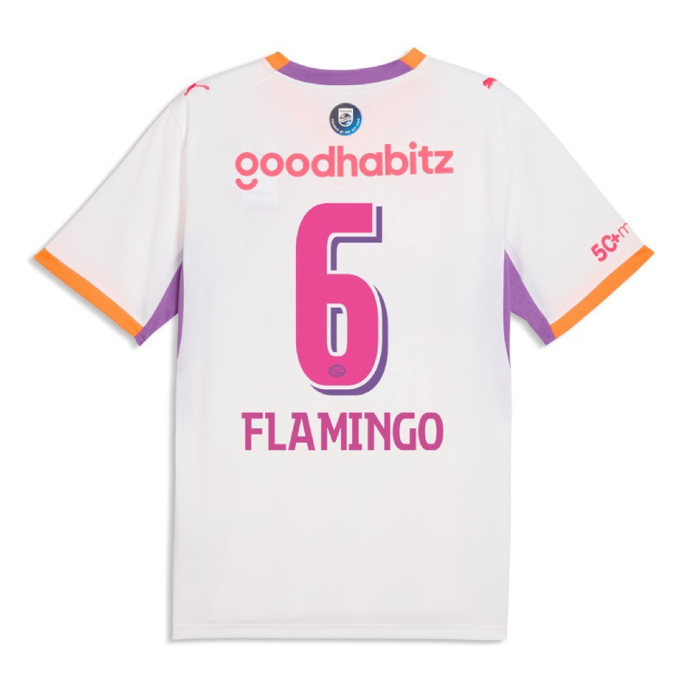 PSV Eindhoven Away FLAMINGO 6 Jersey 26-27