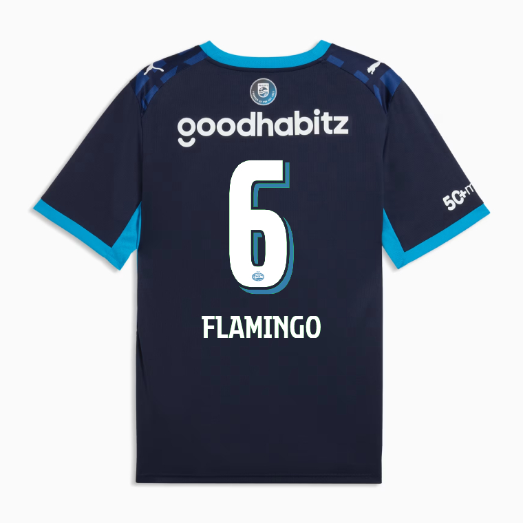 PSV Eindhoven Third FLAMINGO 6 Jersey 26-27