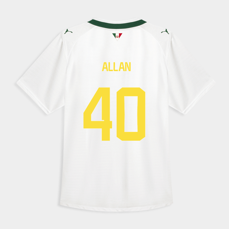 Palmeiras Away ALLAN 40 Jersey 26-27